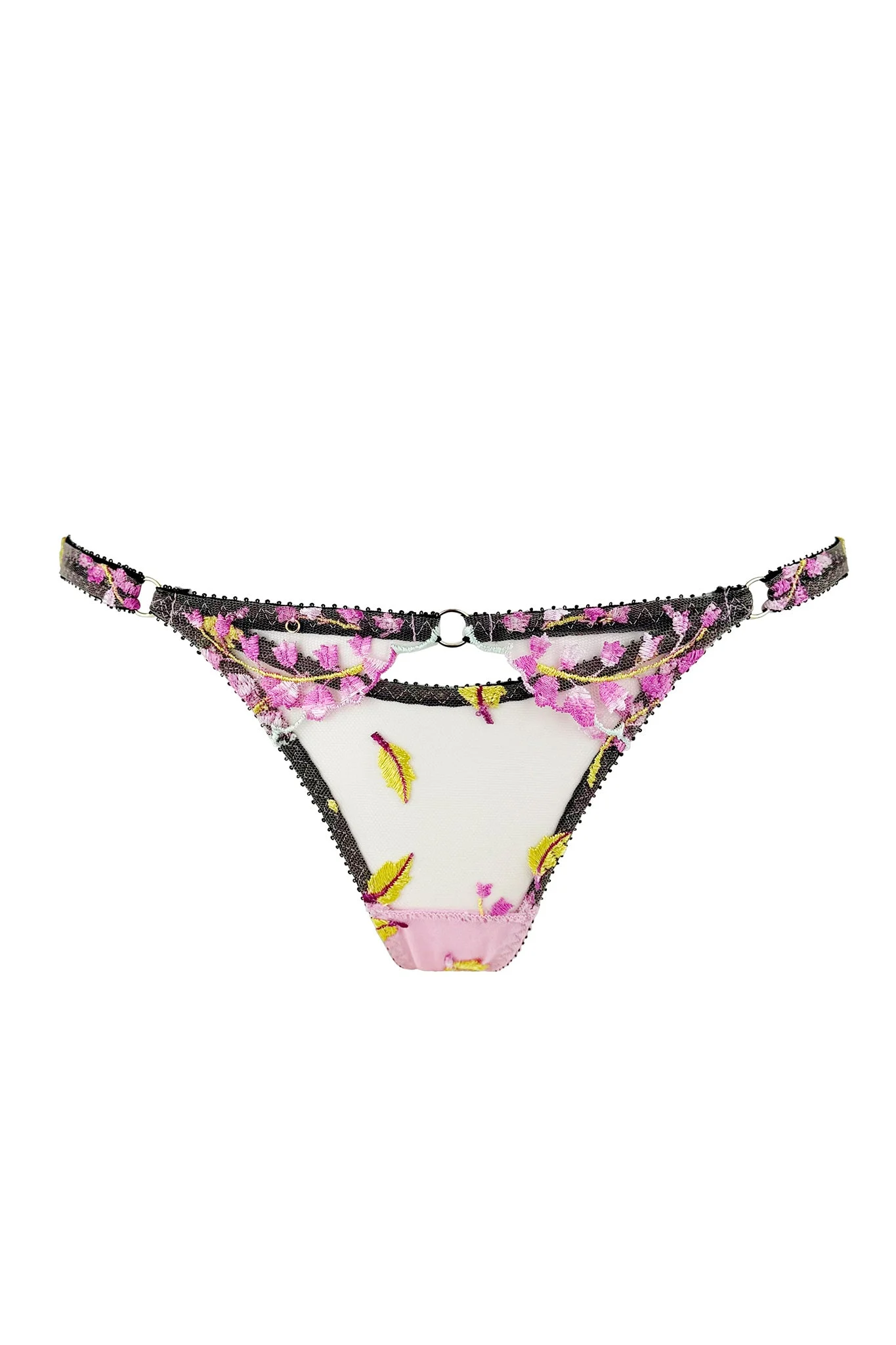 Ally Brief