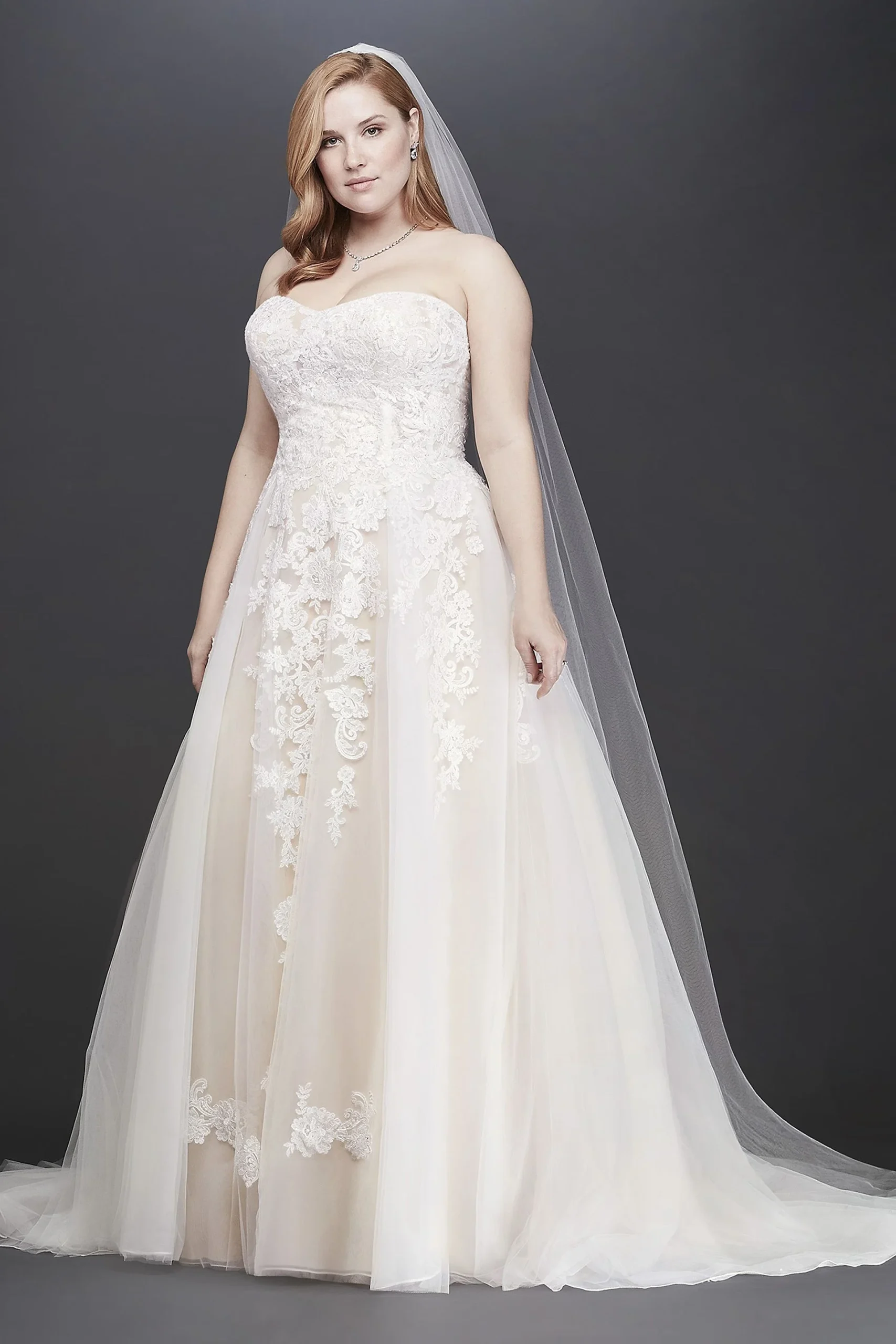 As-Is Sheer Lace and Tulle Plus Size Wedding Dress