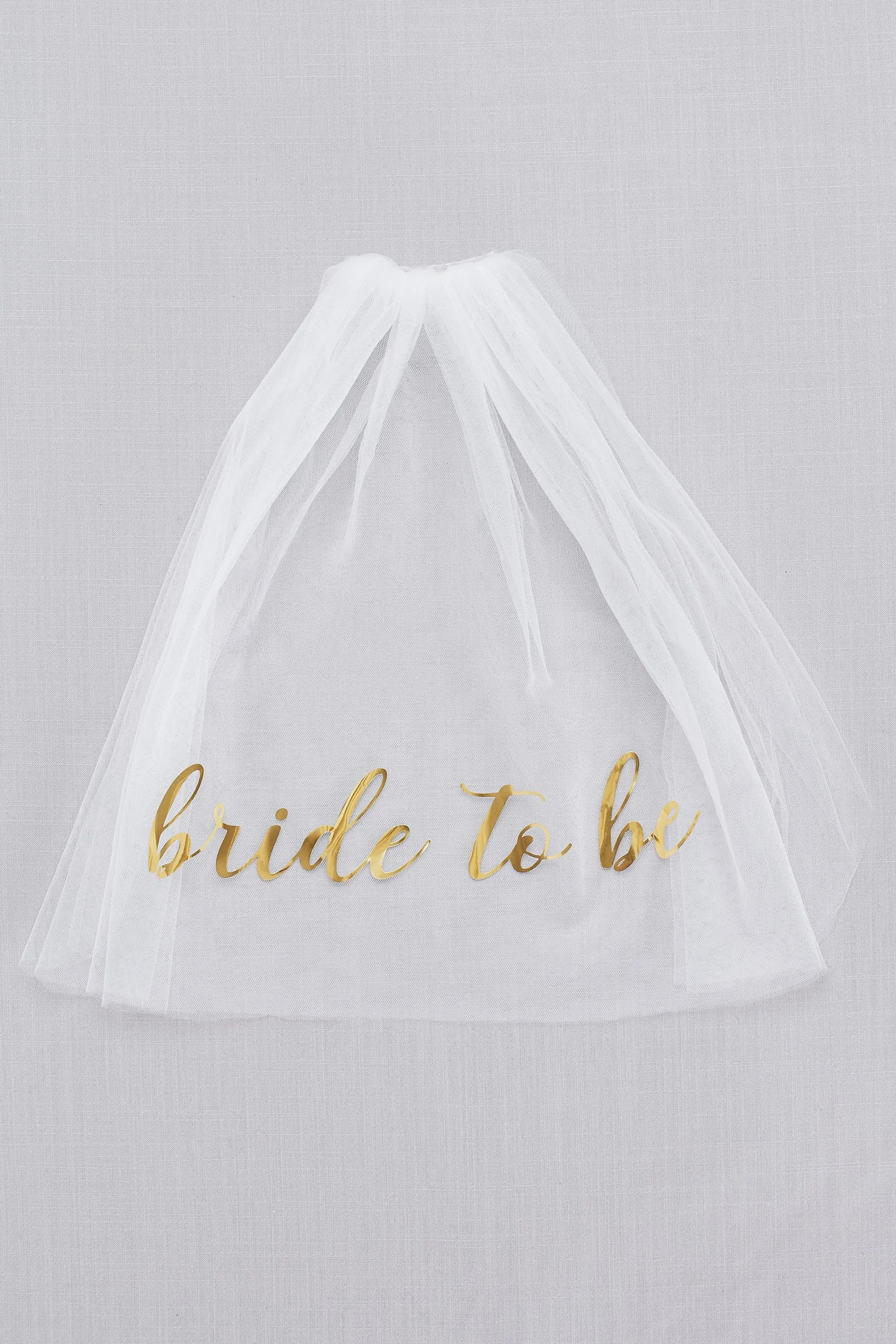 Bride To Be Veil