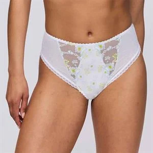 Chen Full Brief