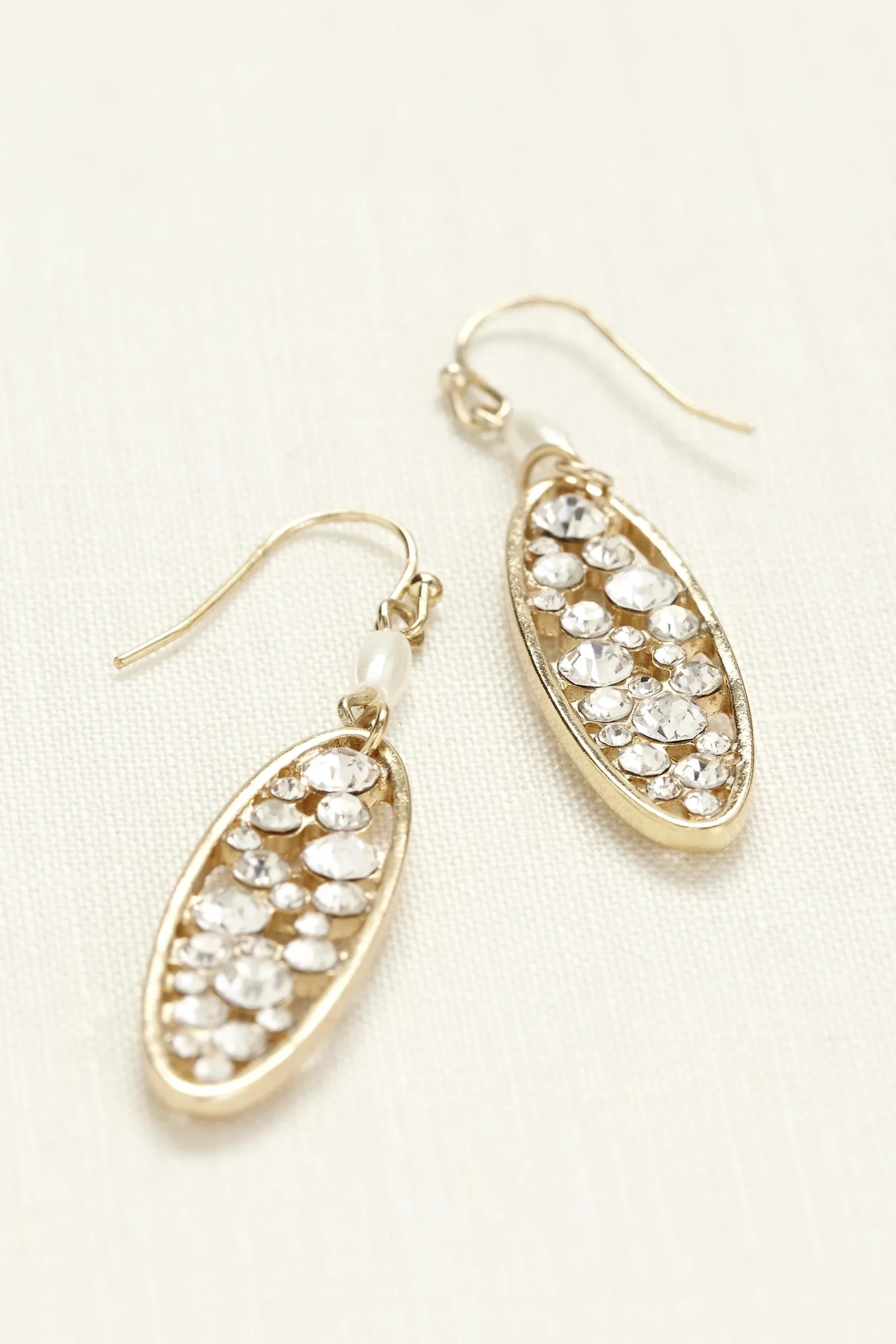 Crystal Filled Earrings