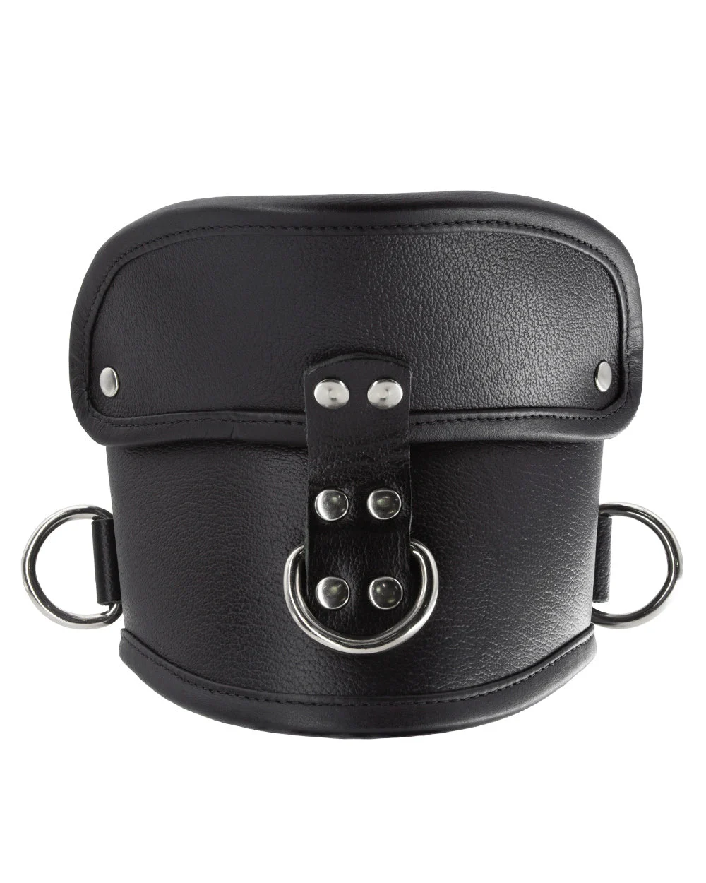 Deluxe Padded Leather Posture Collar