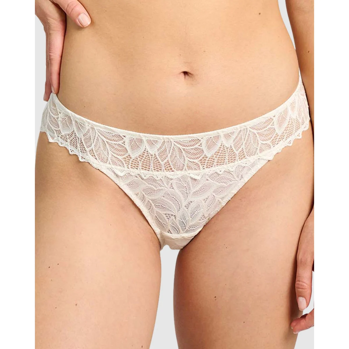 Divine Sheer Lace Hipster Brief