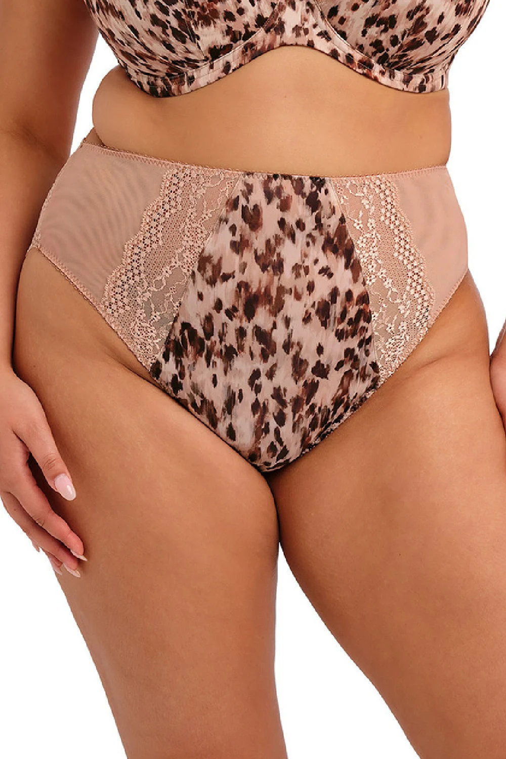 Elomi Lucie High Leg Brief, Wild Cat (EL4498)