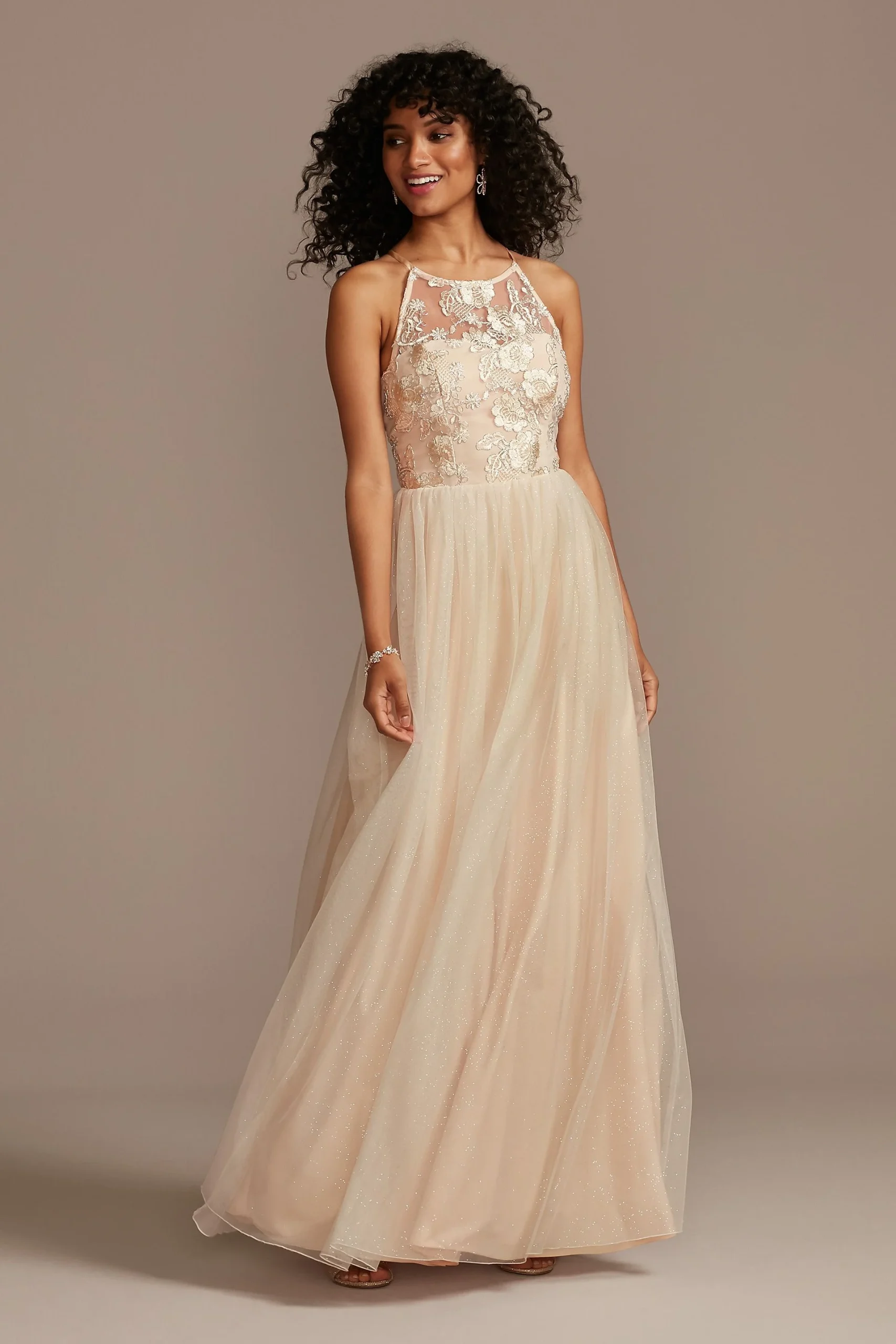 Embroidered Illusion Neck Glitter Tulle Dress