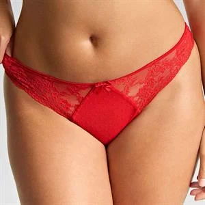 Heidi Brazilian Brief