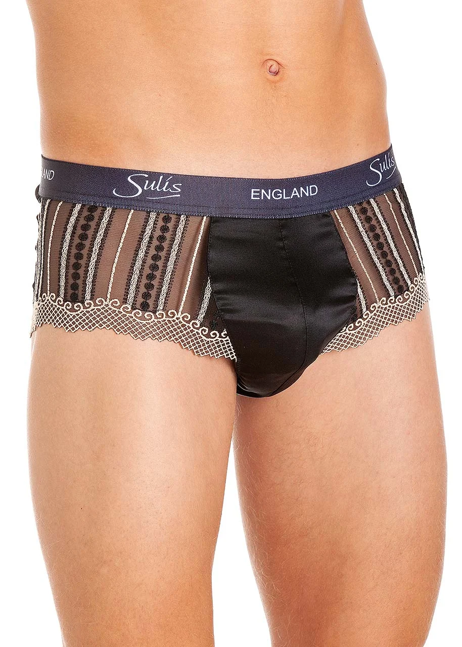 Ionic Brief