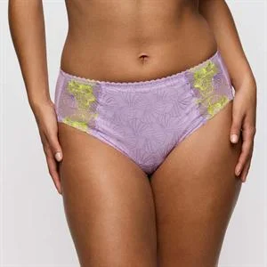 Ixia Full Brief