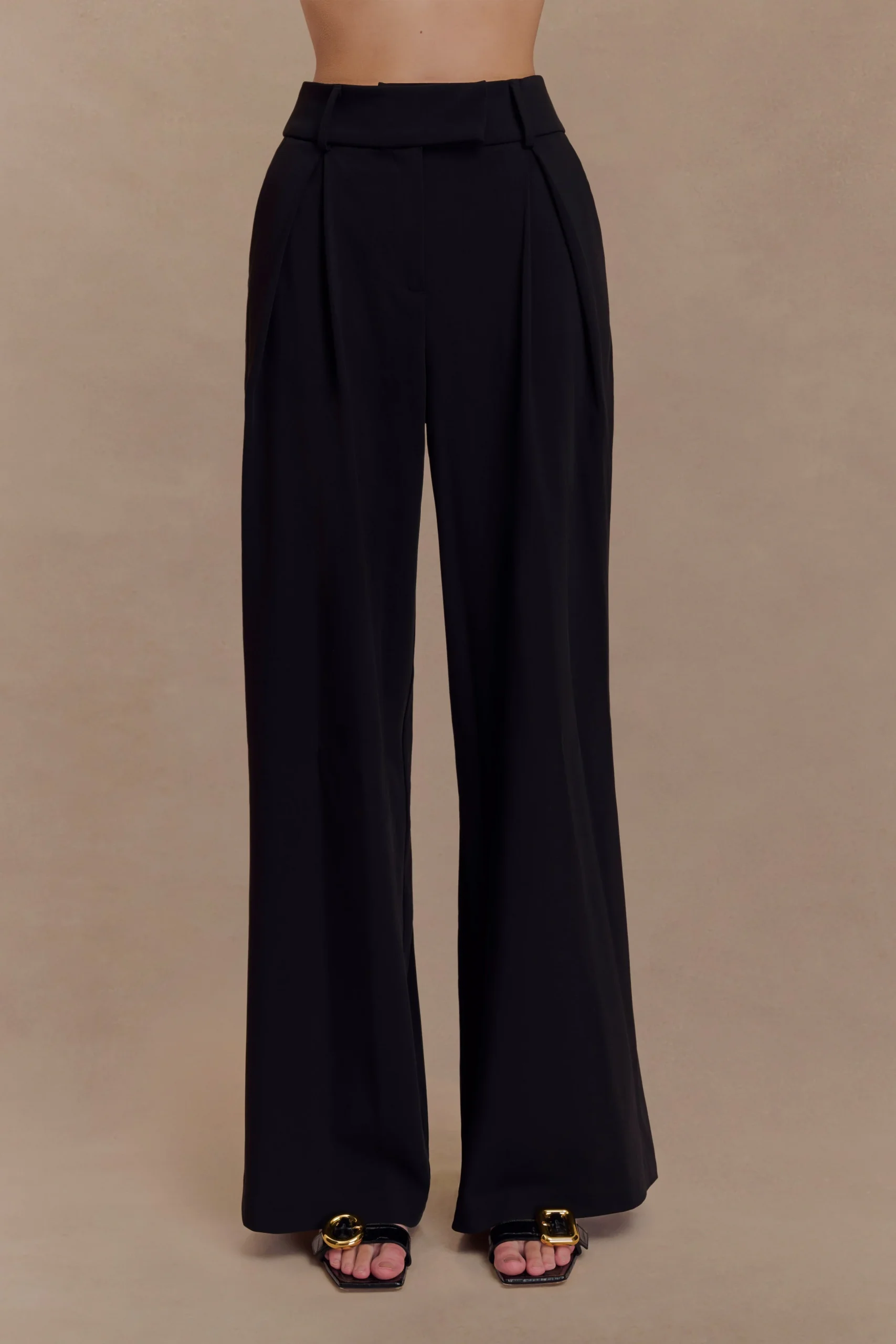 JacquelinePleated Wide Leg Pants - Black