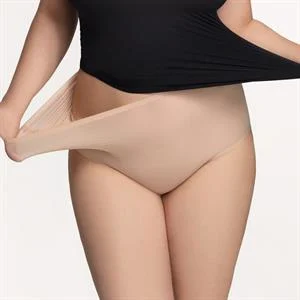 Kylie High Waist Briefs
