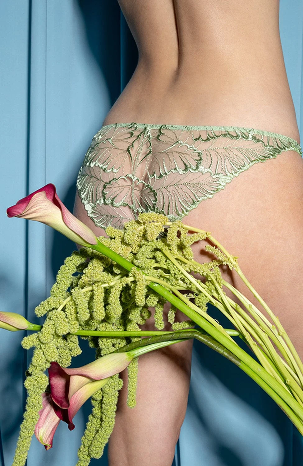 Laurel Brief