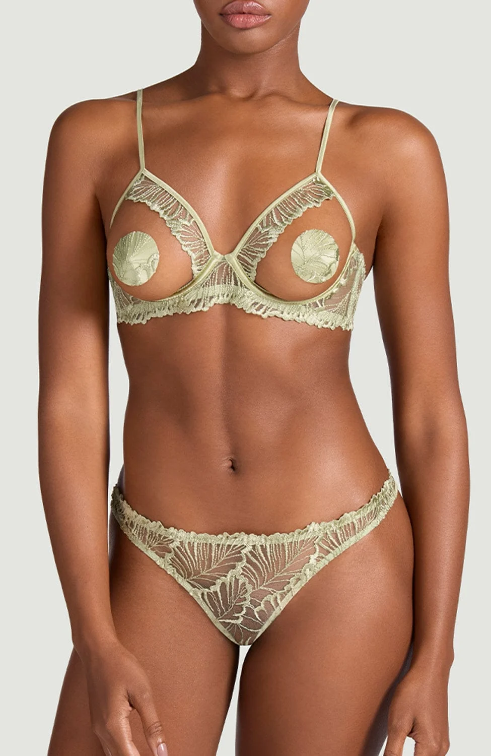 Laurel Open Brief