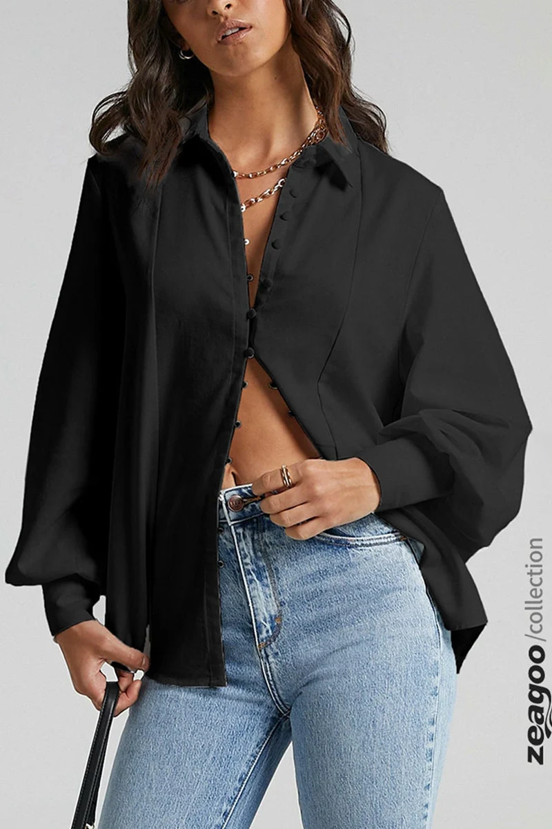 Long Sleeve Blouse