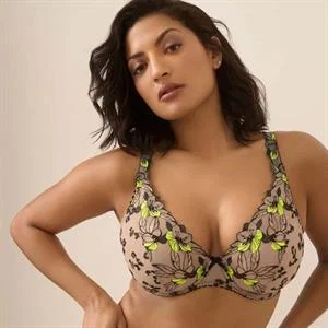 Manali Half Padded Plunge Bra