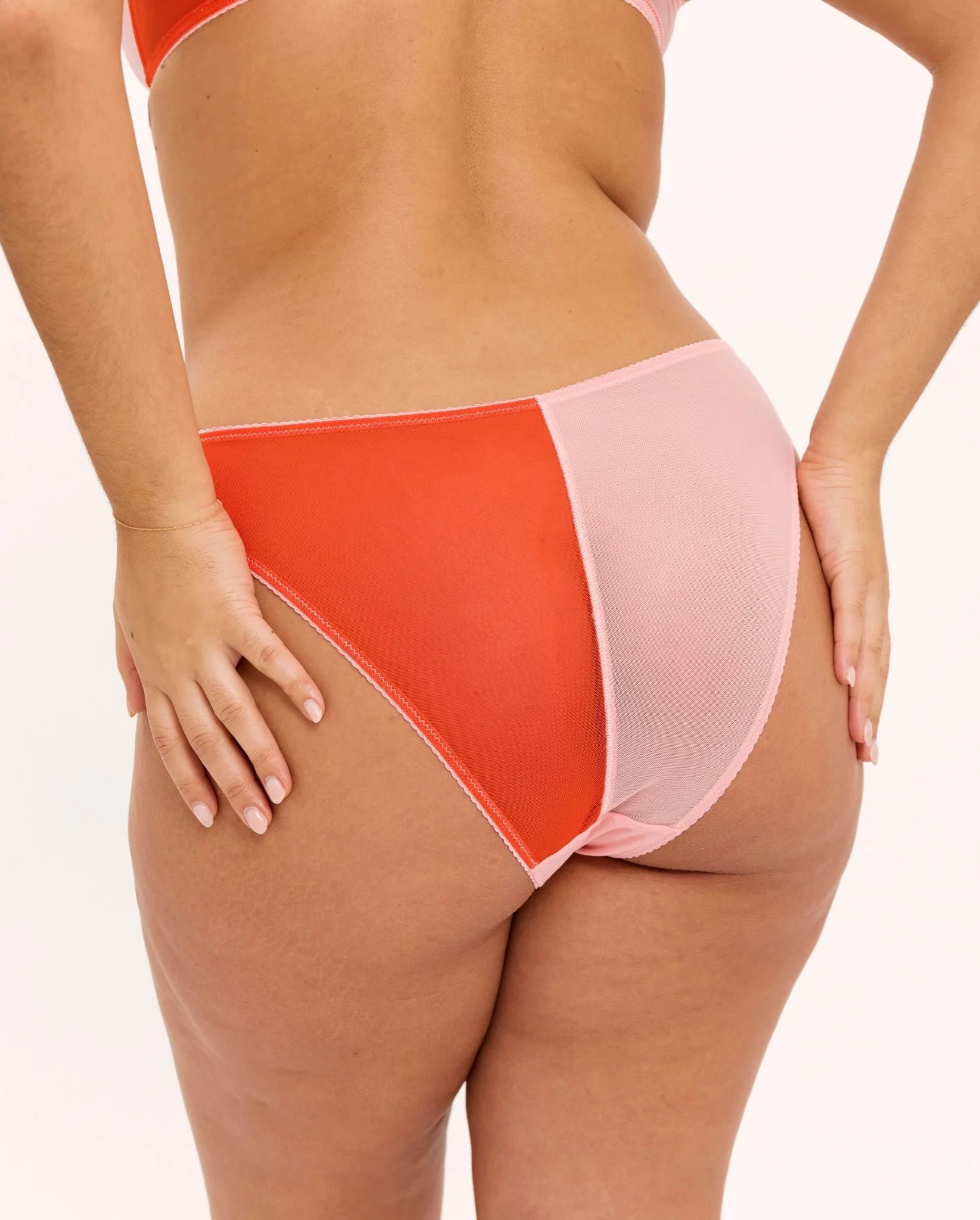 Mesh Bikini Brief