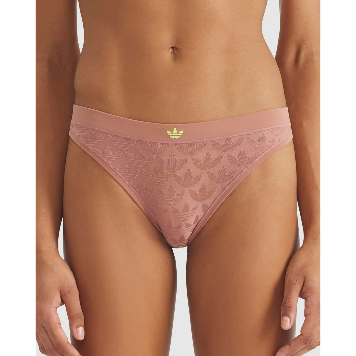 Microterrot Monogram Logo Bikini Brief Underwear