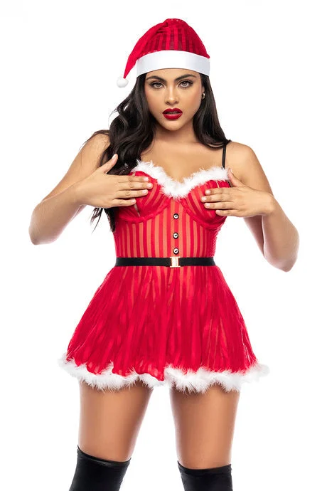 Mrs Claus Costume
