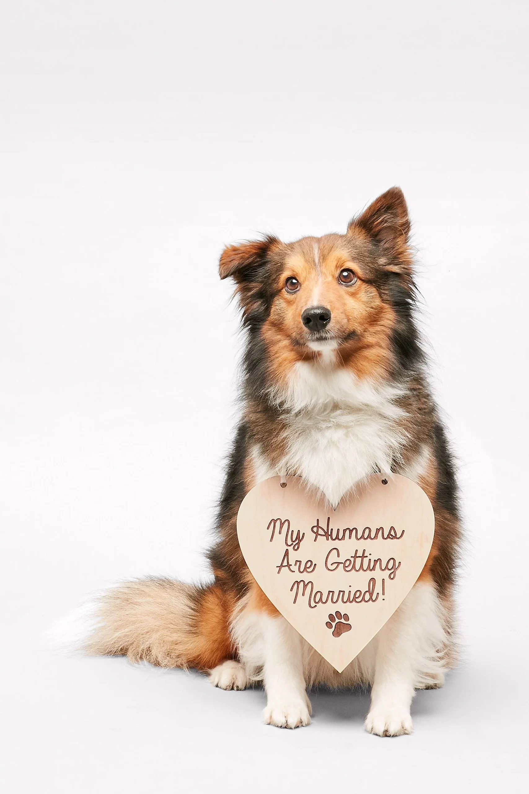 My Humans Are Getting Married Sign