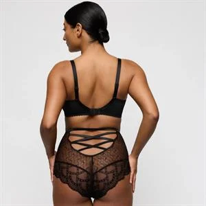 Naica Special Briefs