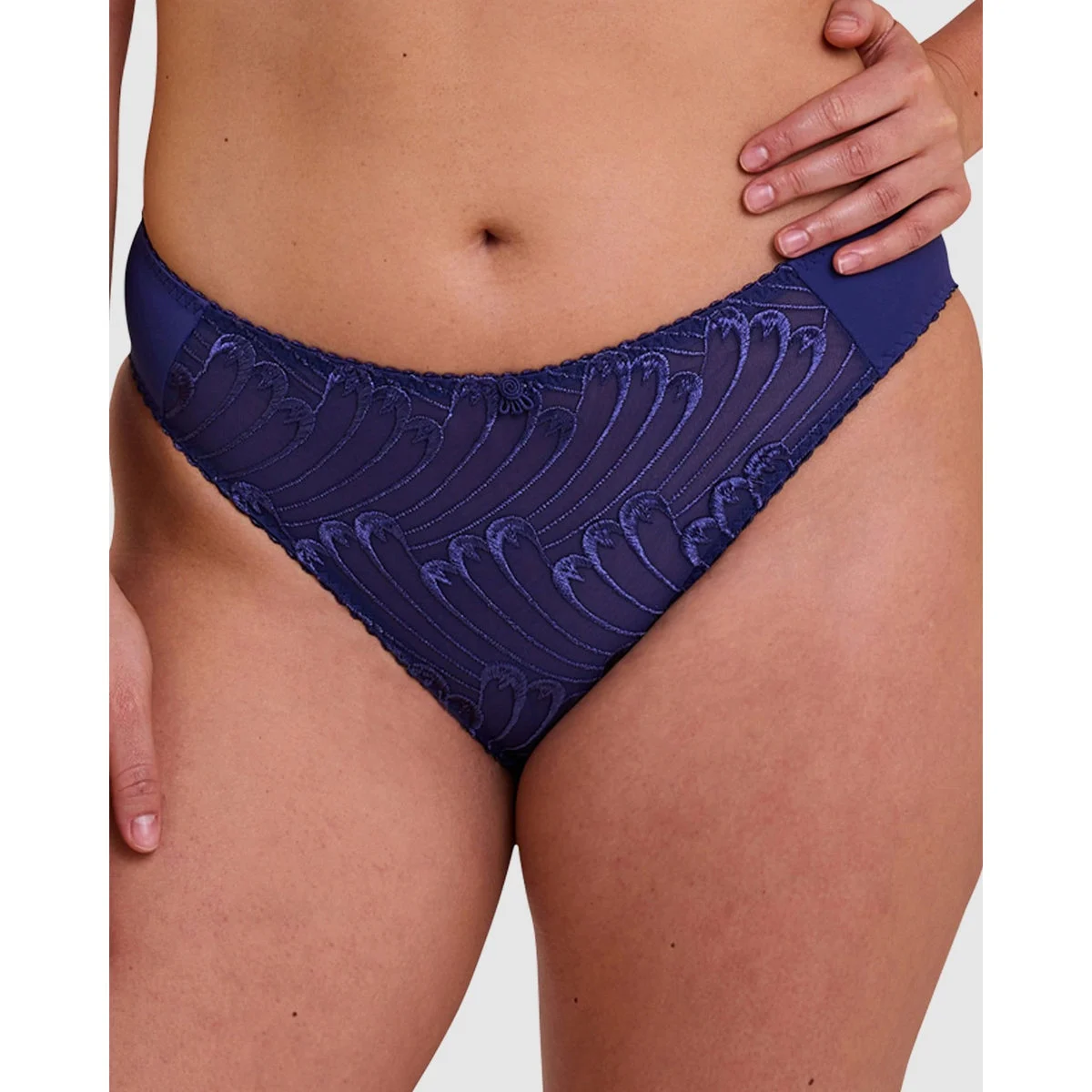 Narcisse Plus Size Classic Brief with Embroidery