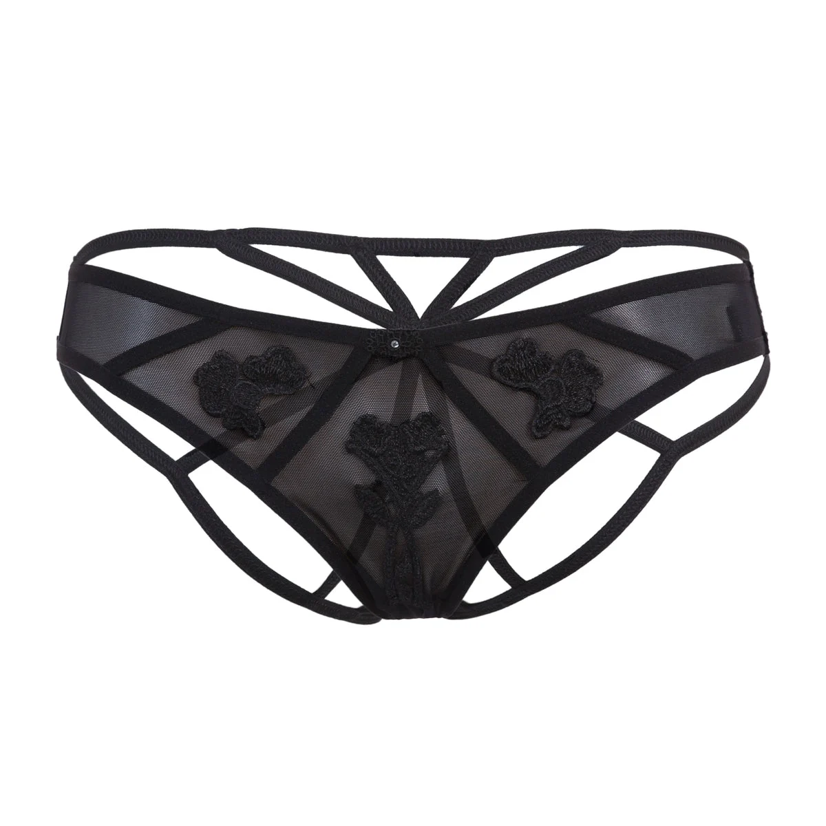 Nova Brief
