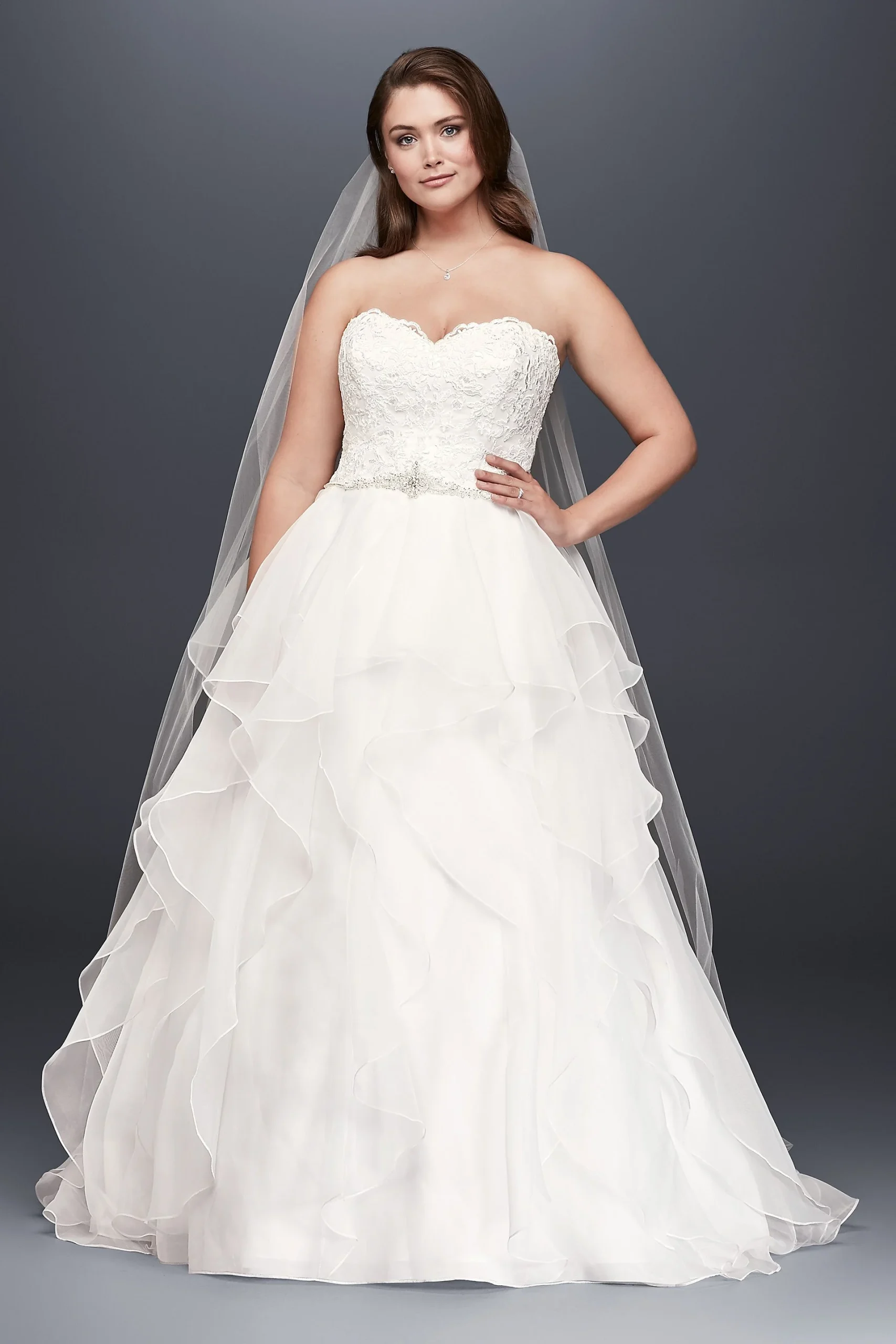 Organza and Lace Plus Size Wedding Dress
