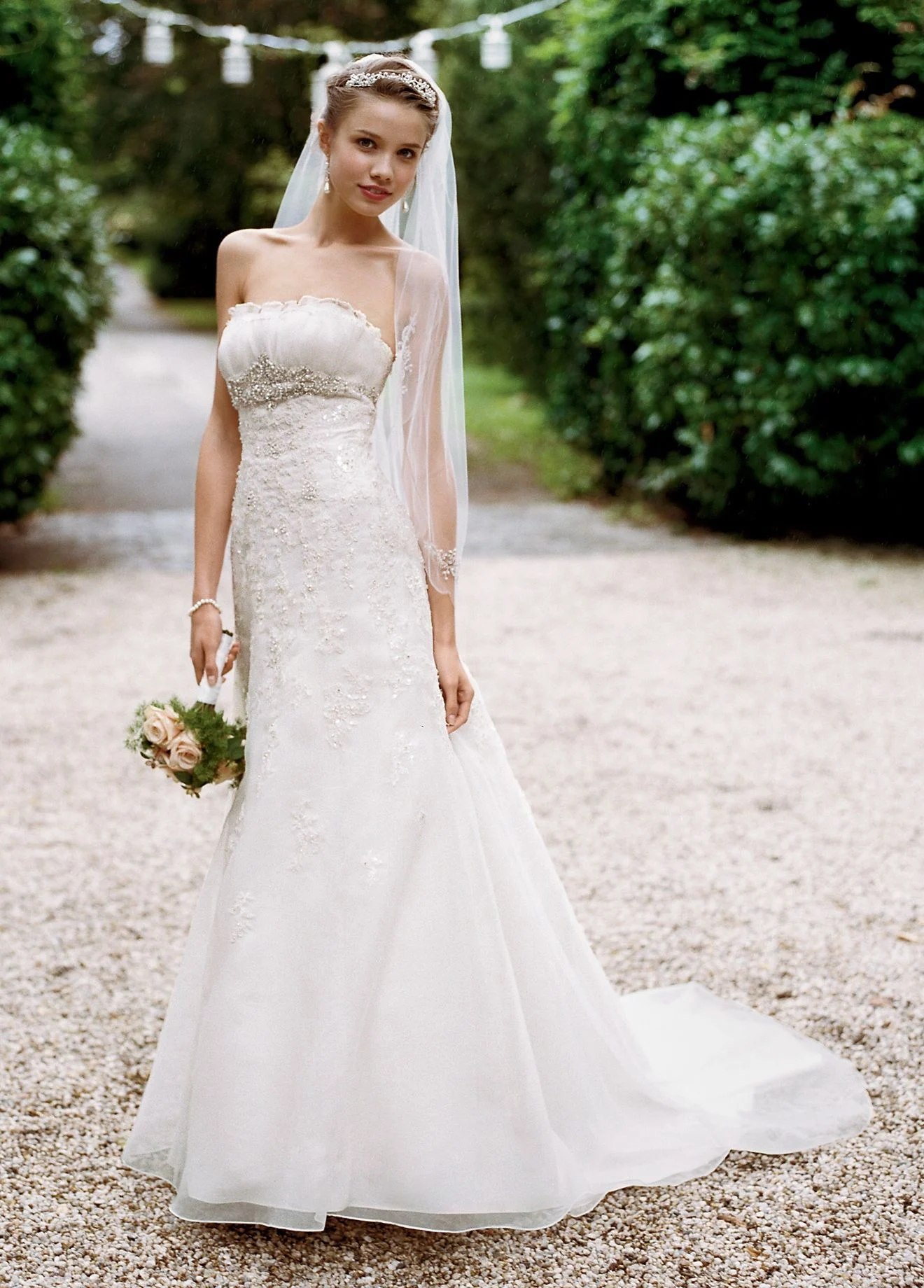 Organza Trumpet Gown with Embellished Lace