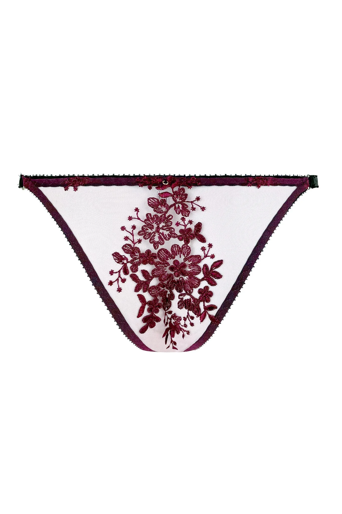 Paola Brief