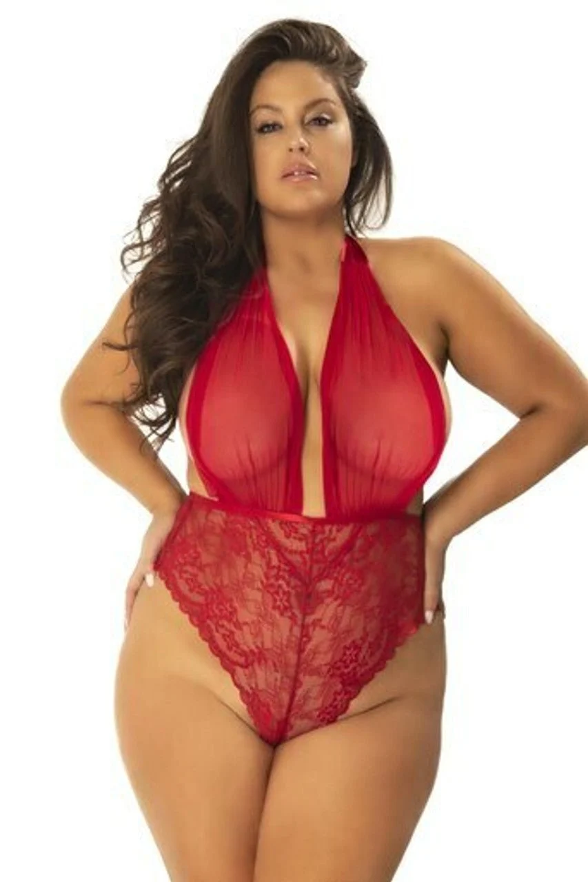 Plus Size Lace Sheer Teddy Lingerie