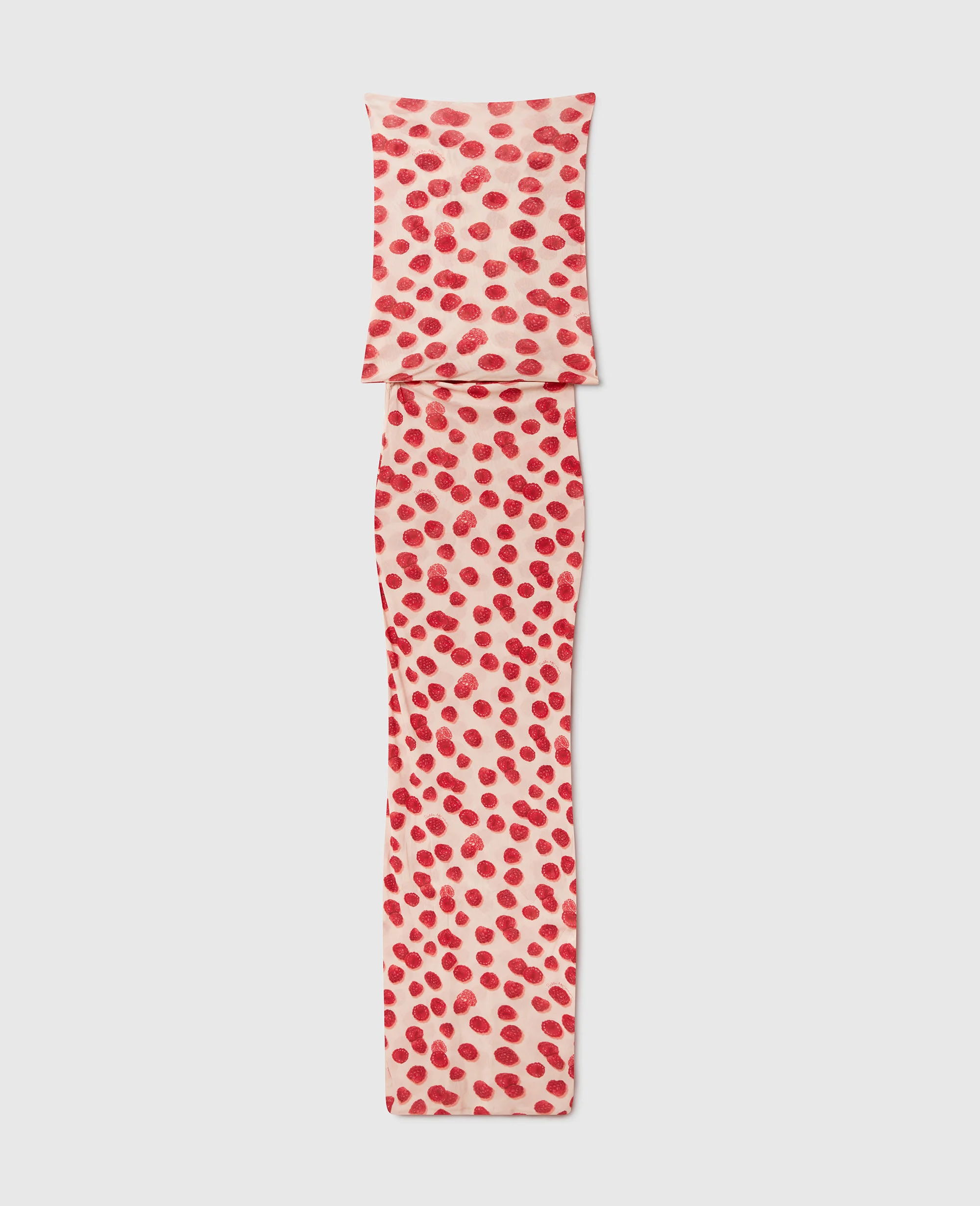 Raspberry Print Mesh Maxi Dress
