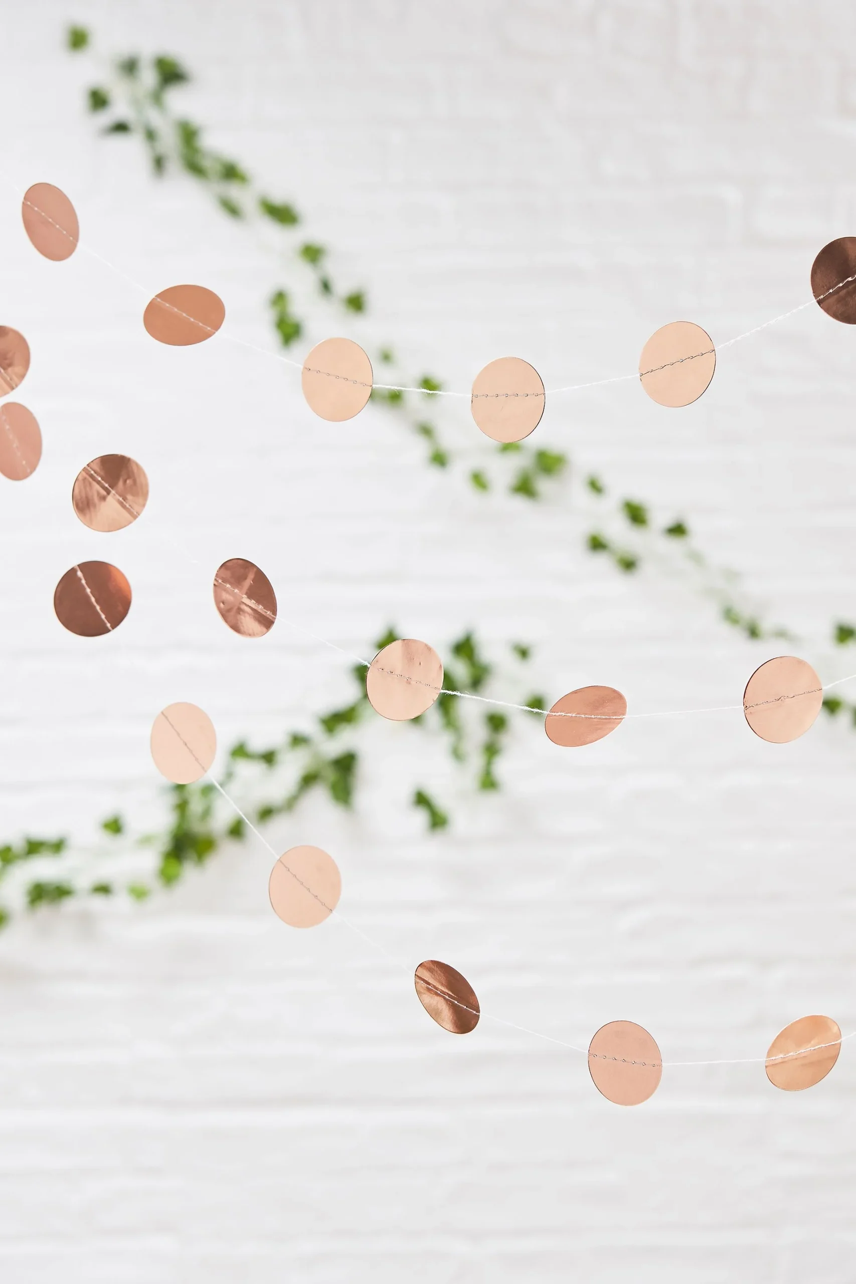 Rose Gold Circle Garland
