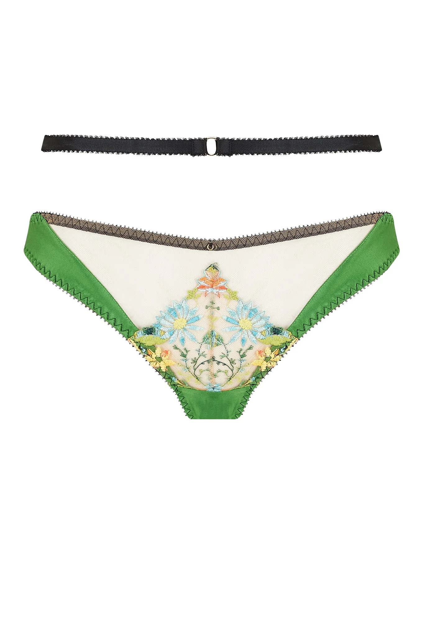 Sally Brief