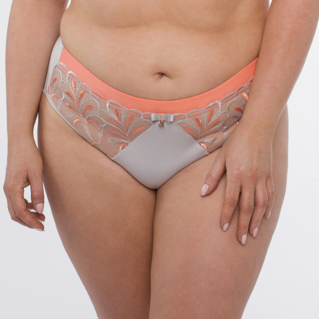 Samanta Sweet Gray Sheer Mesh Tulle Embroidered Brief Panty