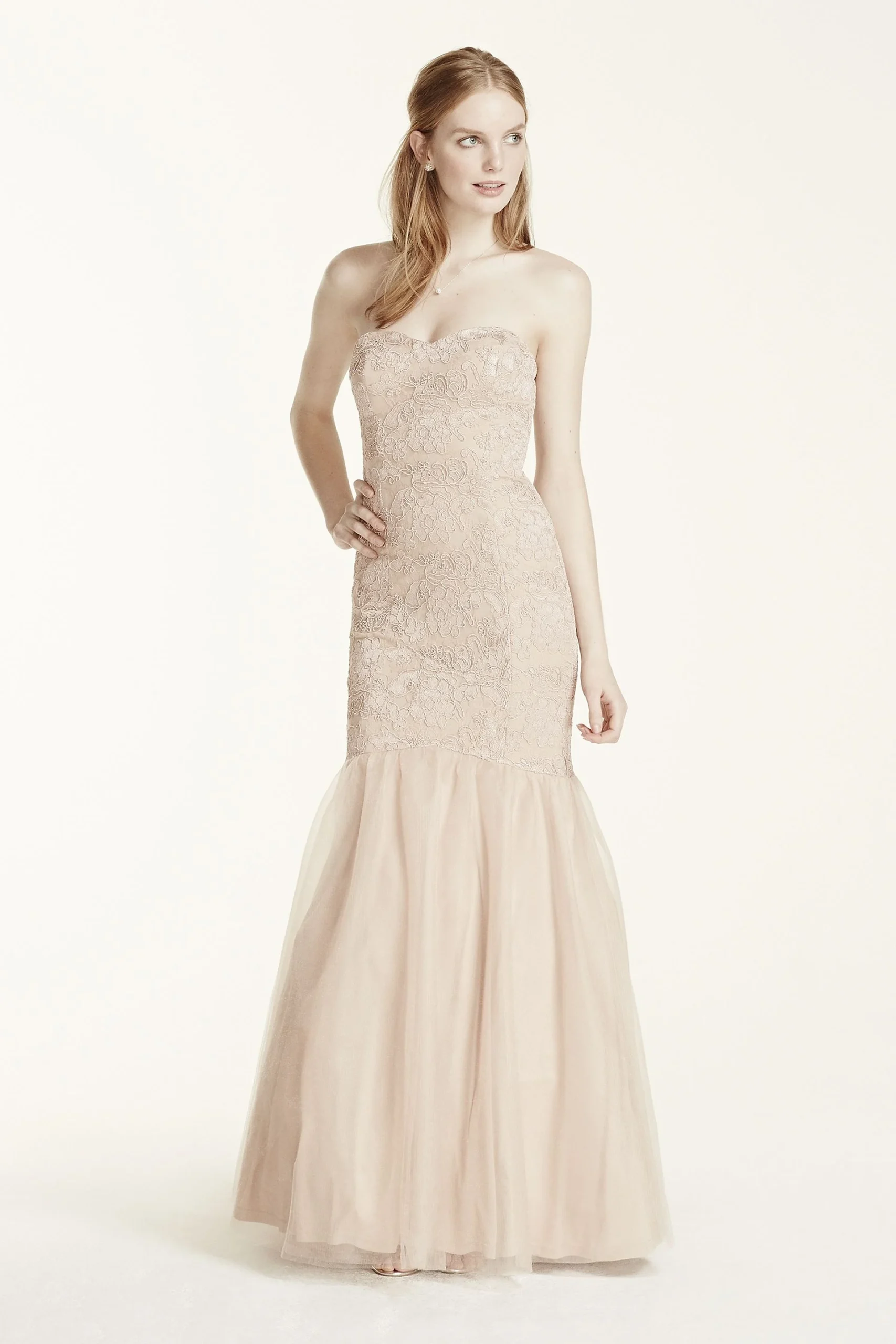 Strapless Lace Applique Fit and Flare Dress