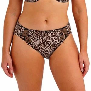 Talia Brief